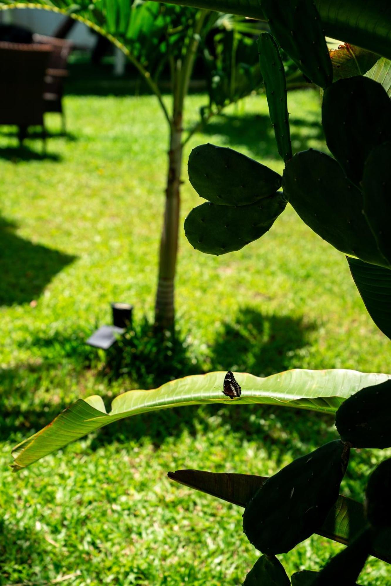 Koh Samui Resort & Restaurant Taling Ngam Beach Exteriér fotografie